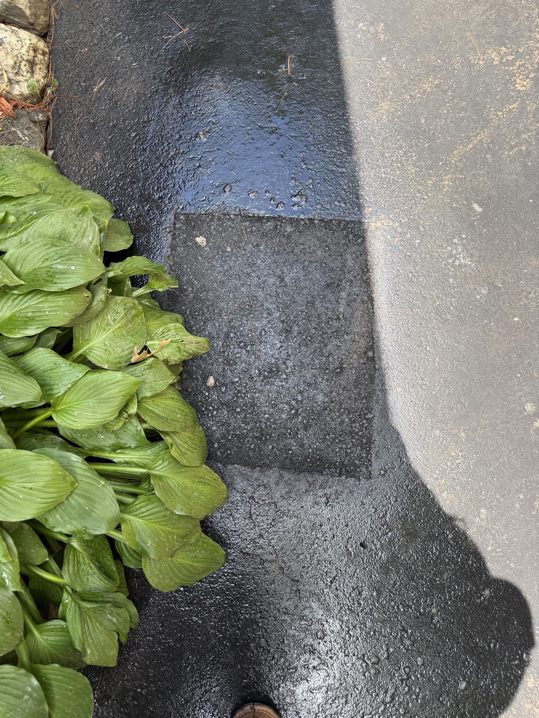 Finished asphalt patch repair next to a garden bed
